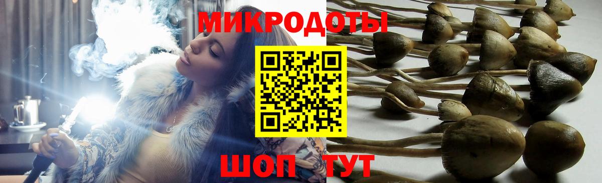 Псилоцибиновые грибы Magic Shrooms Дзержинск